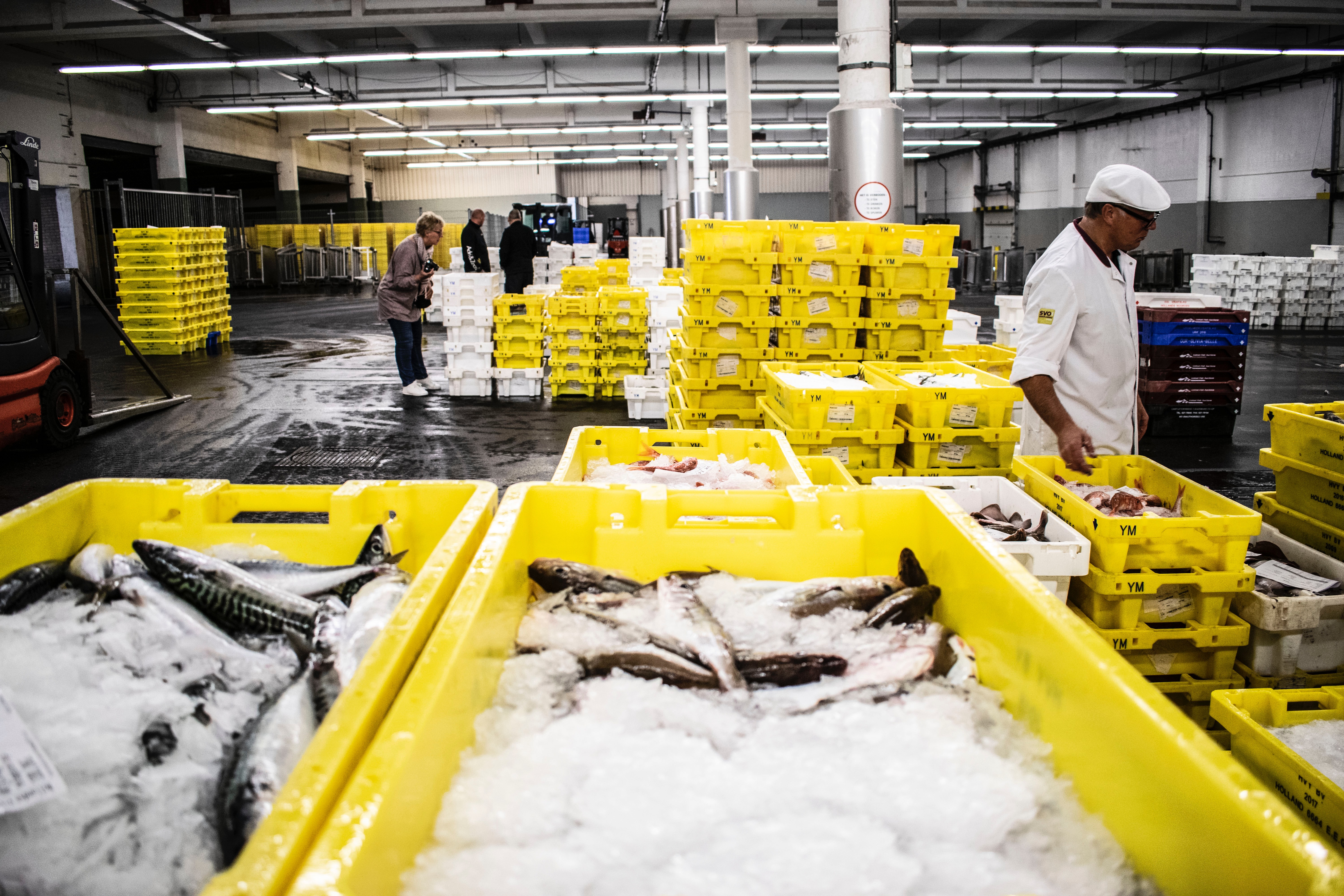 food traceability, food supply chain, seafood value chain, seafood traceability, fish traceability