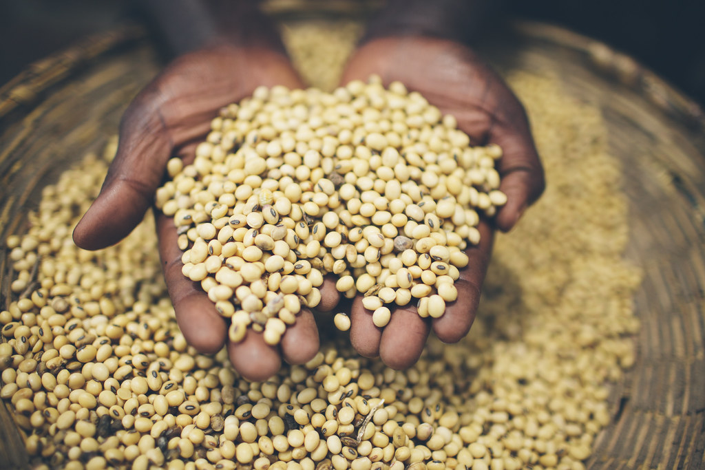 spurious seeds, quality seeds, blockchain solution for spurious seeds, food supply chain, food traceability