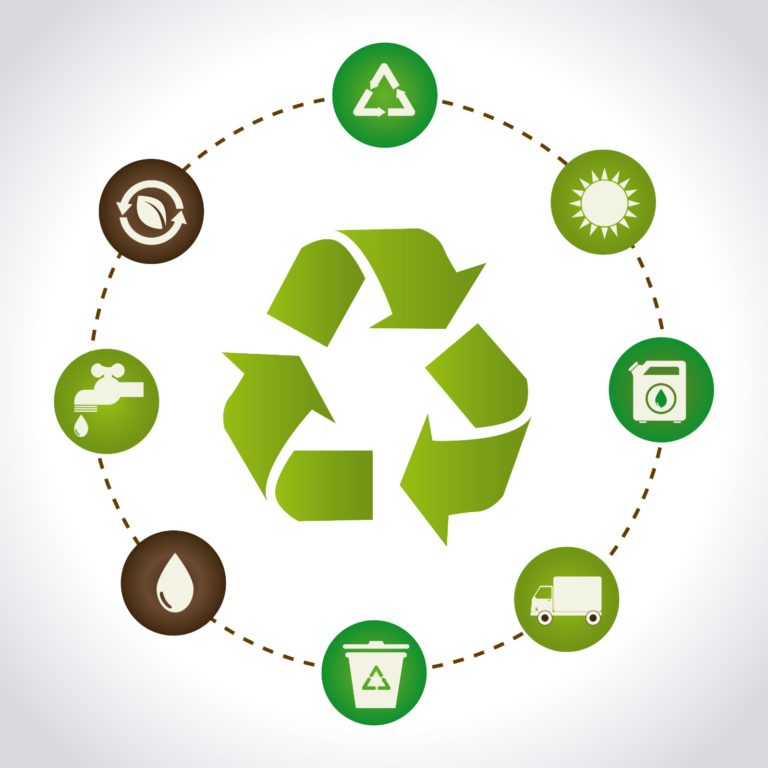 circular economy in food supply chain, food supply chain, food traceability