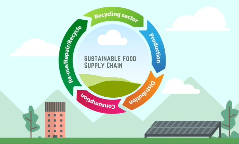 sustainable food supply chains, sustainable food supply chain, food supply chain, food traceability