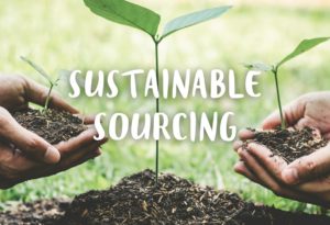 sustainable sourcing, responsible sourcing, responsible procurement, ethical and sustainable sourcing, sustainable food sourcing, sustainable sourcing in supply chain management