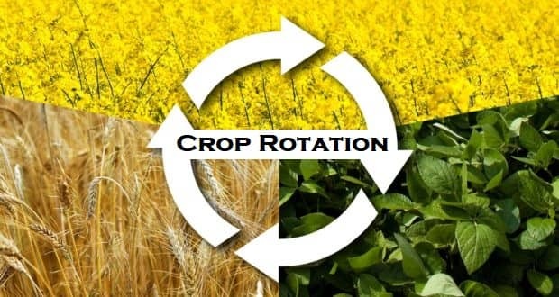 crop rotation, crop rotation in sustainable agriculture, sustainable crop rotation, sustainable agriculture crop rotation, crop monitoring software, crop management software
