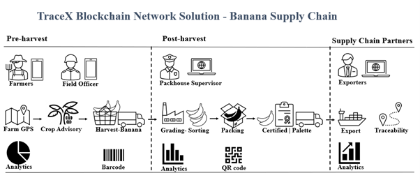 banana traceability, banana supply chain, blockchain traceability, food traceability, food supply chain